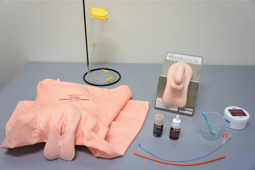 Transparent Female Catheter Model Puls