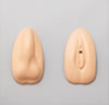Male/Female external genitalia
