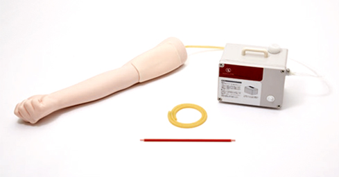 Transparent Female Catheter Model